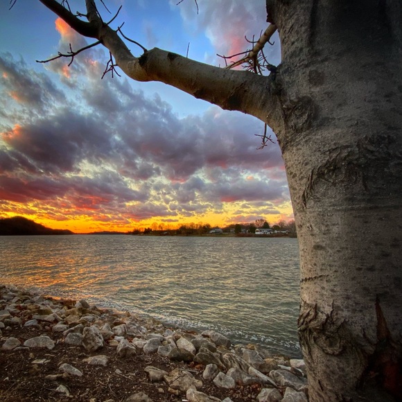 Meet your Posher, Andrea - Picture 3 of 4